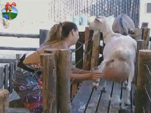 A Fazenda 5: Viviane cuida das cabras e lembra de Nicole